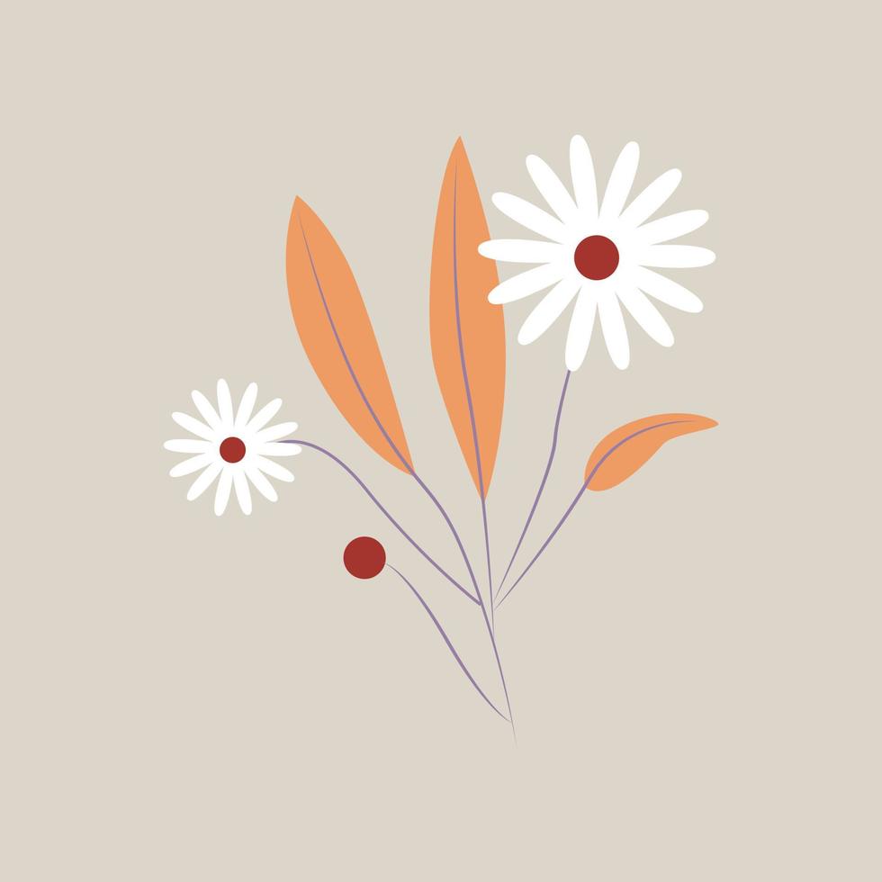 White wildflower vector illustration