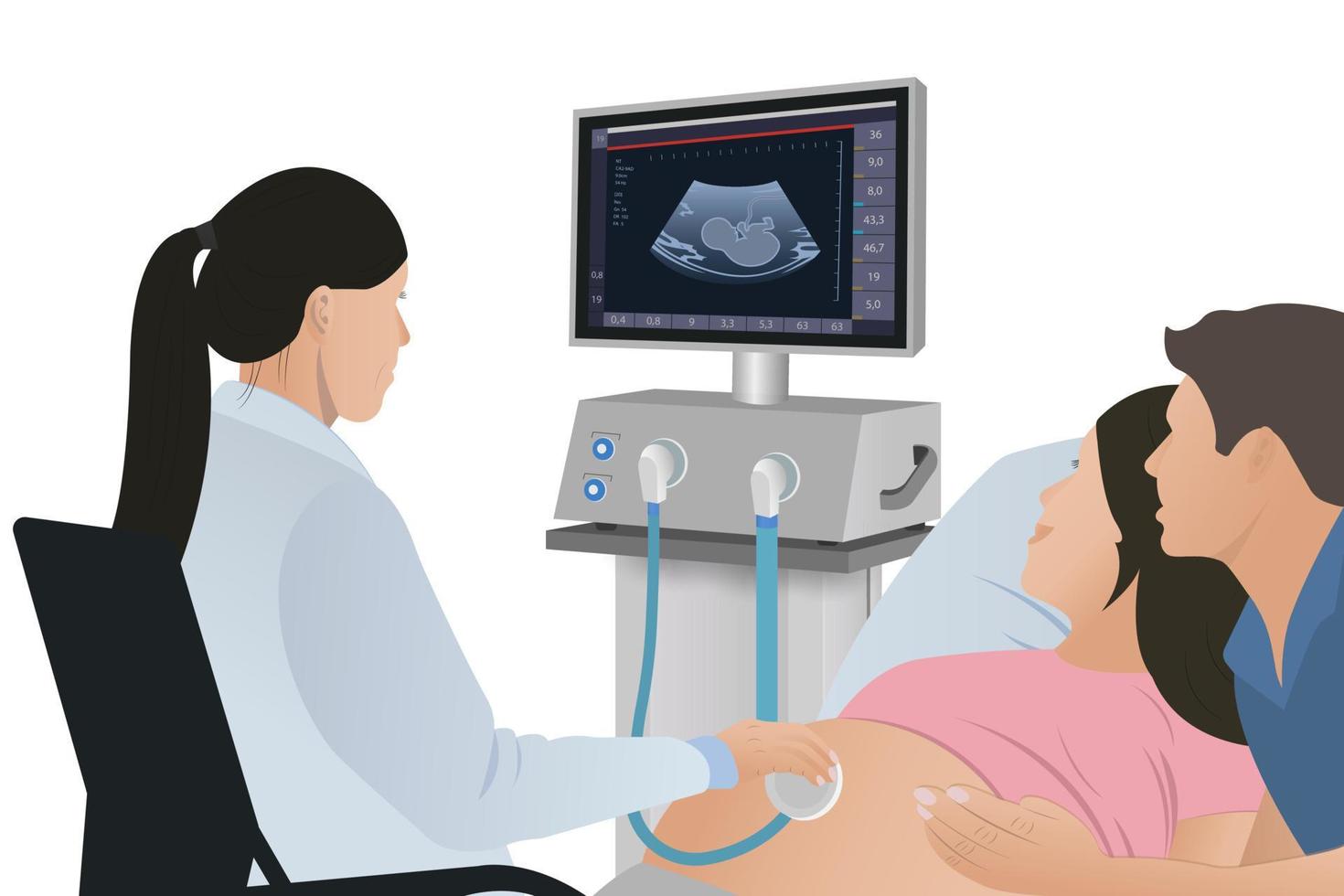 The doctor shows an ultrasound scan to a young couple. Happy moments of marriage, pregnancy, future parents. Vector illustration