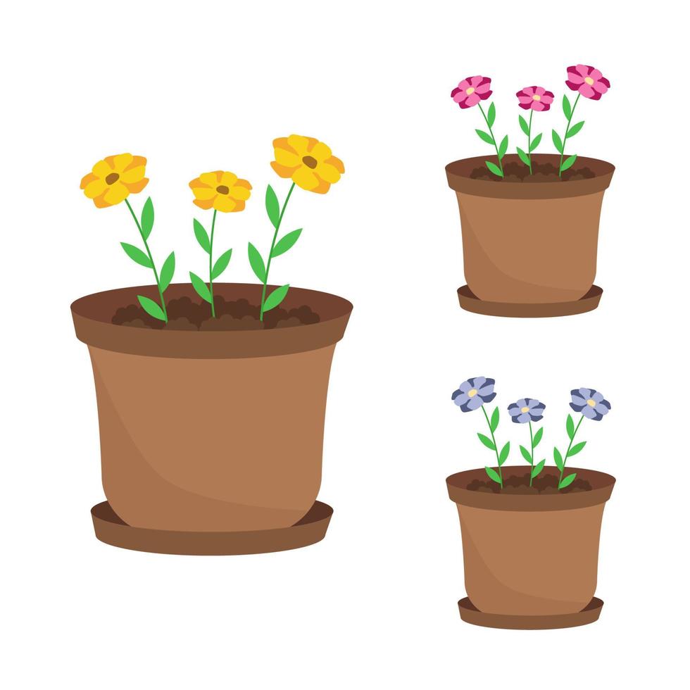 Set of flowers in brown pots. Vector illustration houseplants.