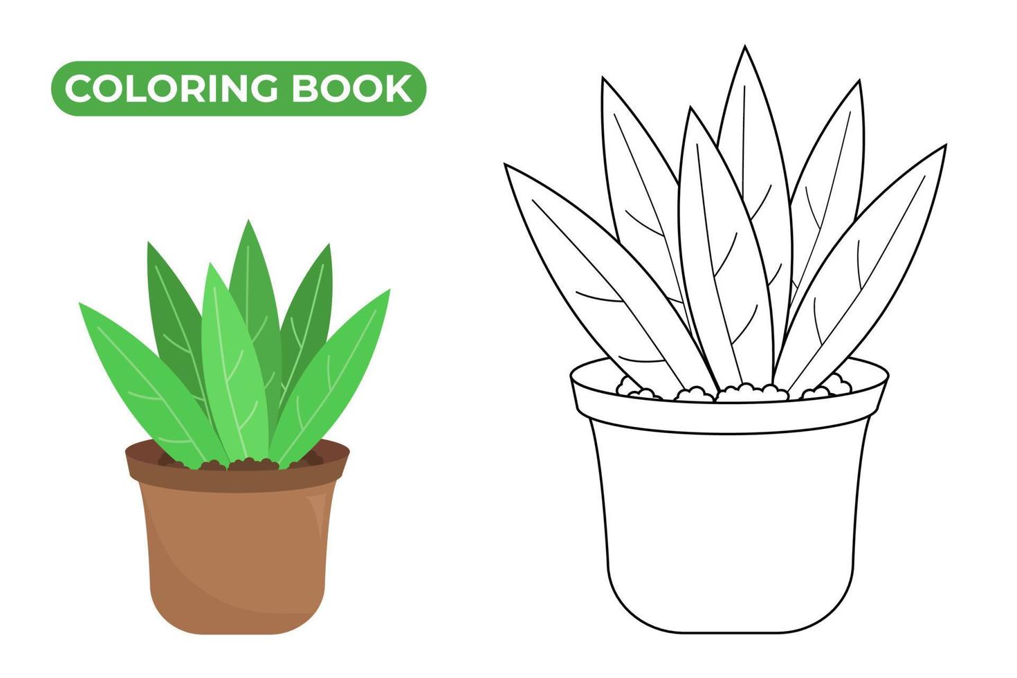 Plant in flower pot. Isolated vector illustration of houseplant. Black and white line drawing and color drawing. Coloring page.