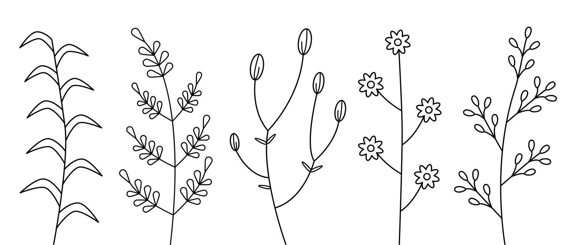 Hand drawn plant elements. Set of branches and twigs with leaves on white background. Vector illustration of floral doodles.