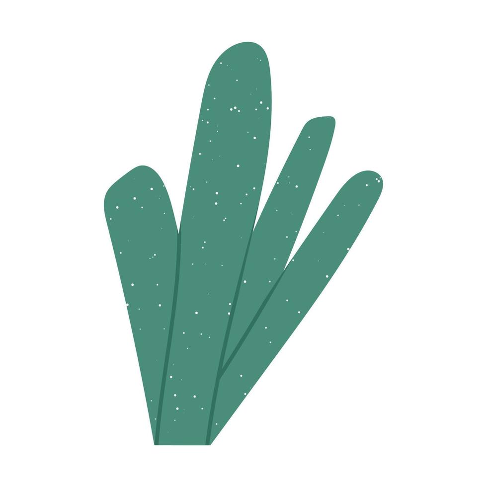 Hand drawn seaweed, plant or coral with texture - cartoon flat vector illustration isolated on white background. Botanical element drawing.