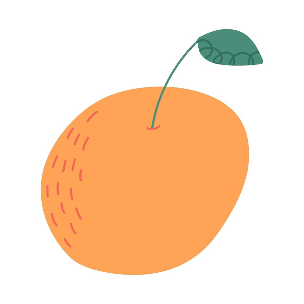 Tangerine or orange citrus fruit, hand drawn cartoon vector illustration isolated on white background. Organic and delicious fruit.