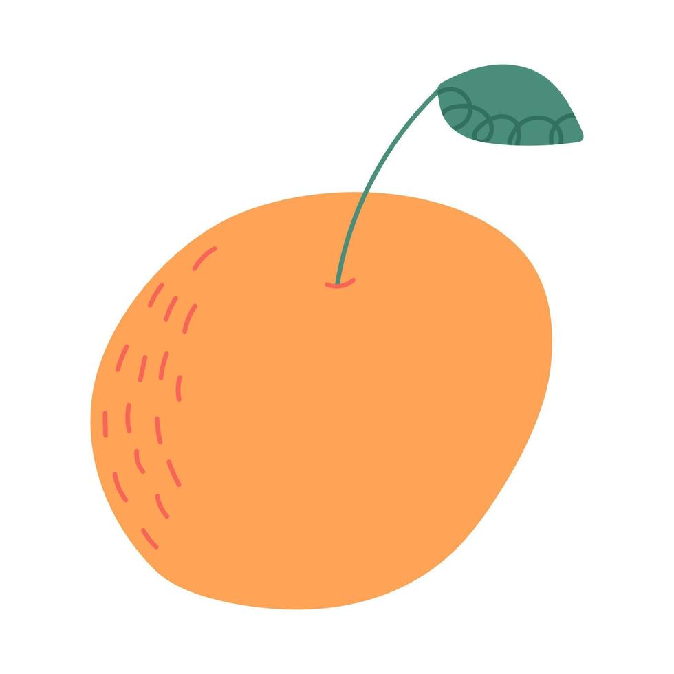 cítricos de mandarina o naranja, ilustración de vector de dibujos animados dibujados a mano aislado sobre fondo blanco. fruta orgánica y deliciosa.