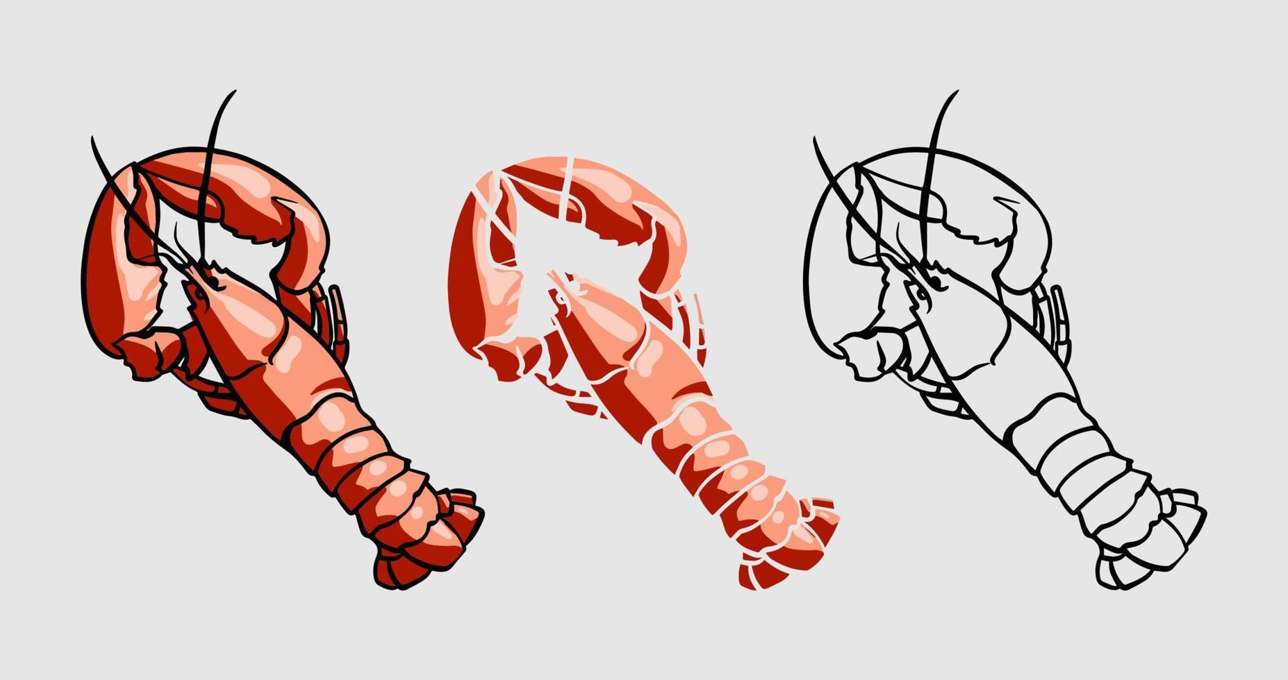 A set of illustrations of red lobster. Graphically drawn lobster. Hand drawn sea animal. Can be used for menu restaurants, fish markets and stores. Vector vintage illustration.