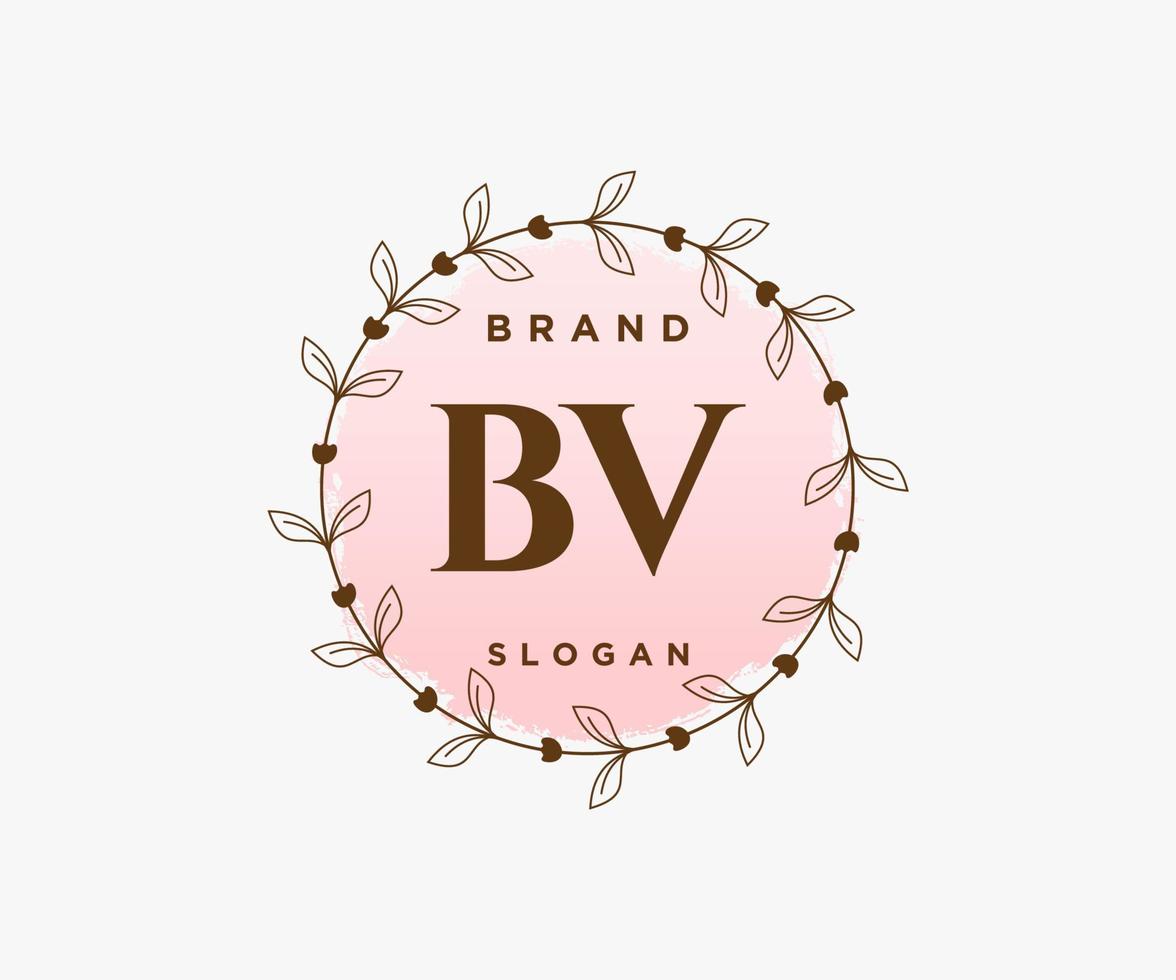 Initial BV feminine logo. Usable for Nature, Salon, Spa, Cosmetic and Beauty Logos. Flat Vector Logo Design Template Element.