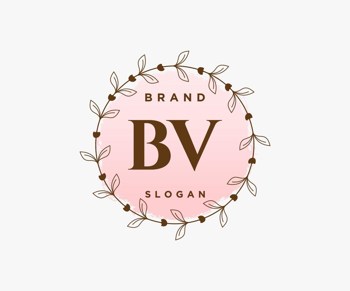 logotipo femenino bv inicial. utilizable para logotipos de naturaleza, salón, spa, cosmética y belleza. elemento de plantilla de diseño de logotipo de vector plano.