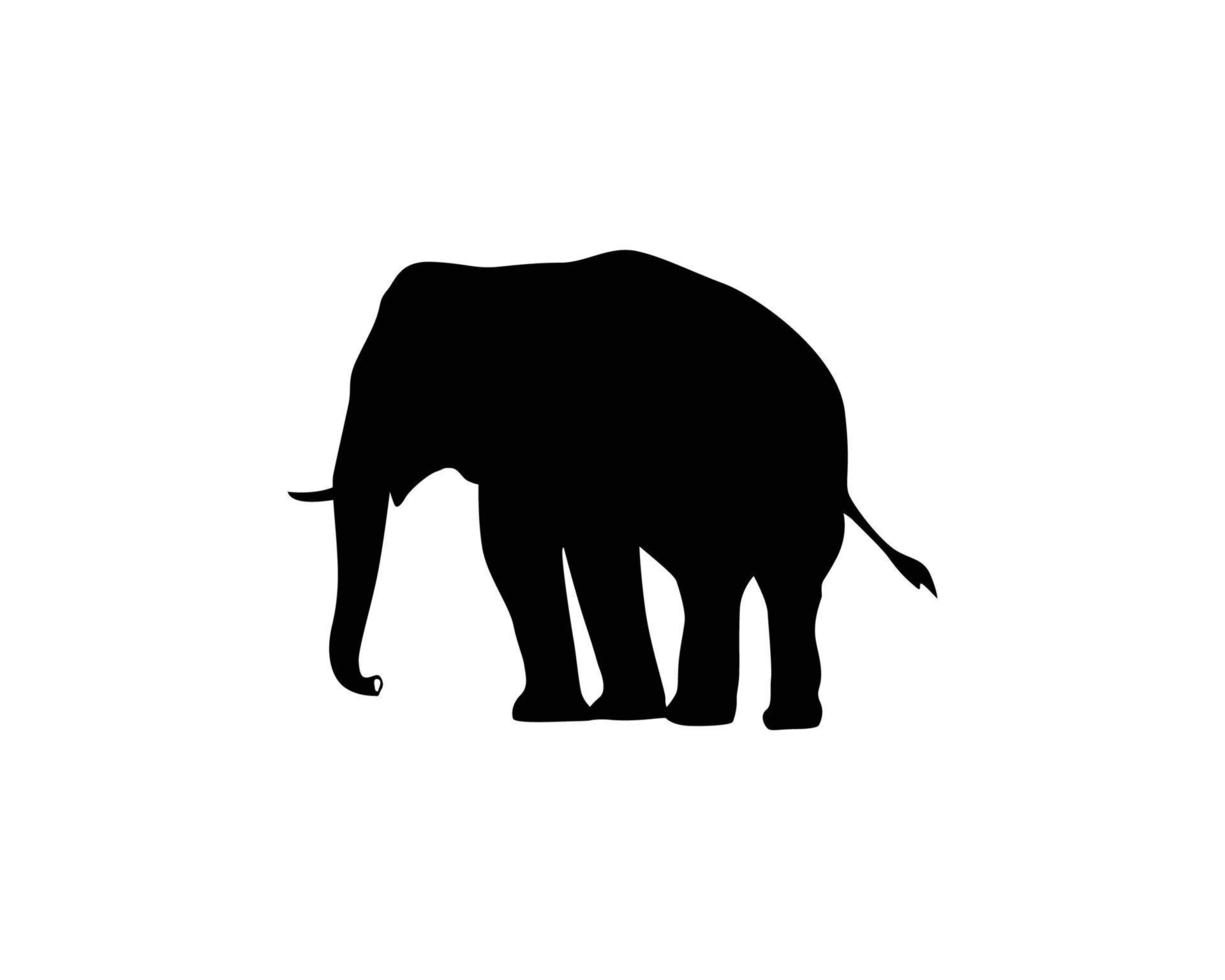 Elephant silhouette vector template