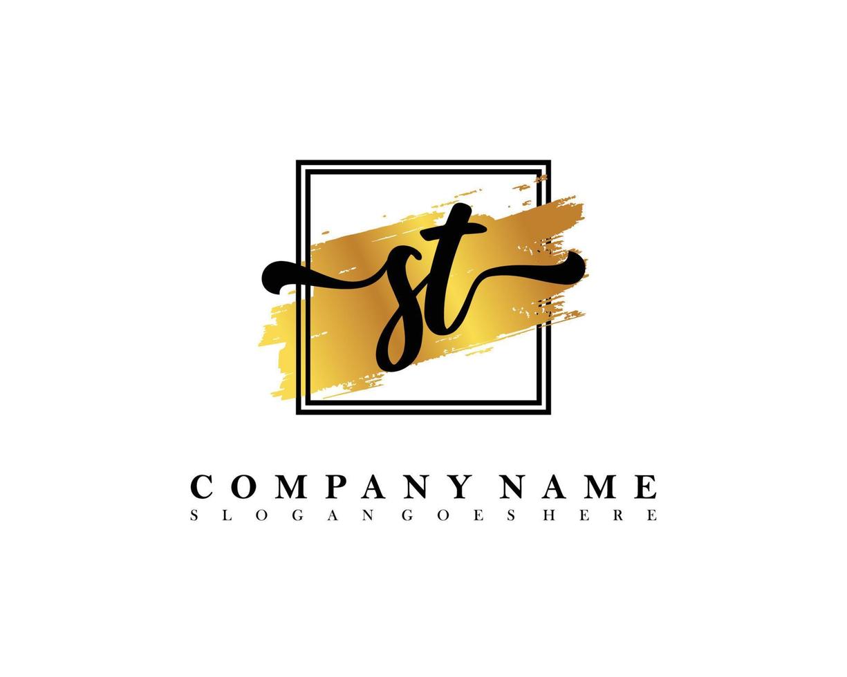 ST Initial handwriting logo concept vector