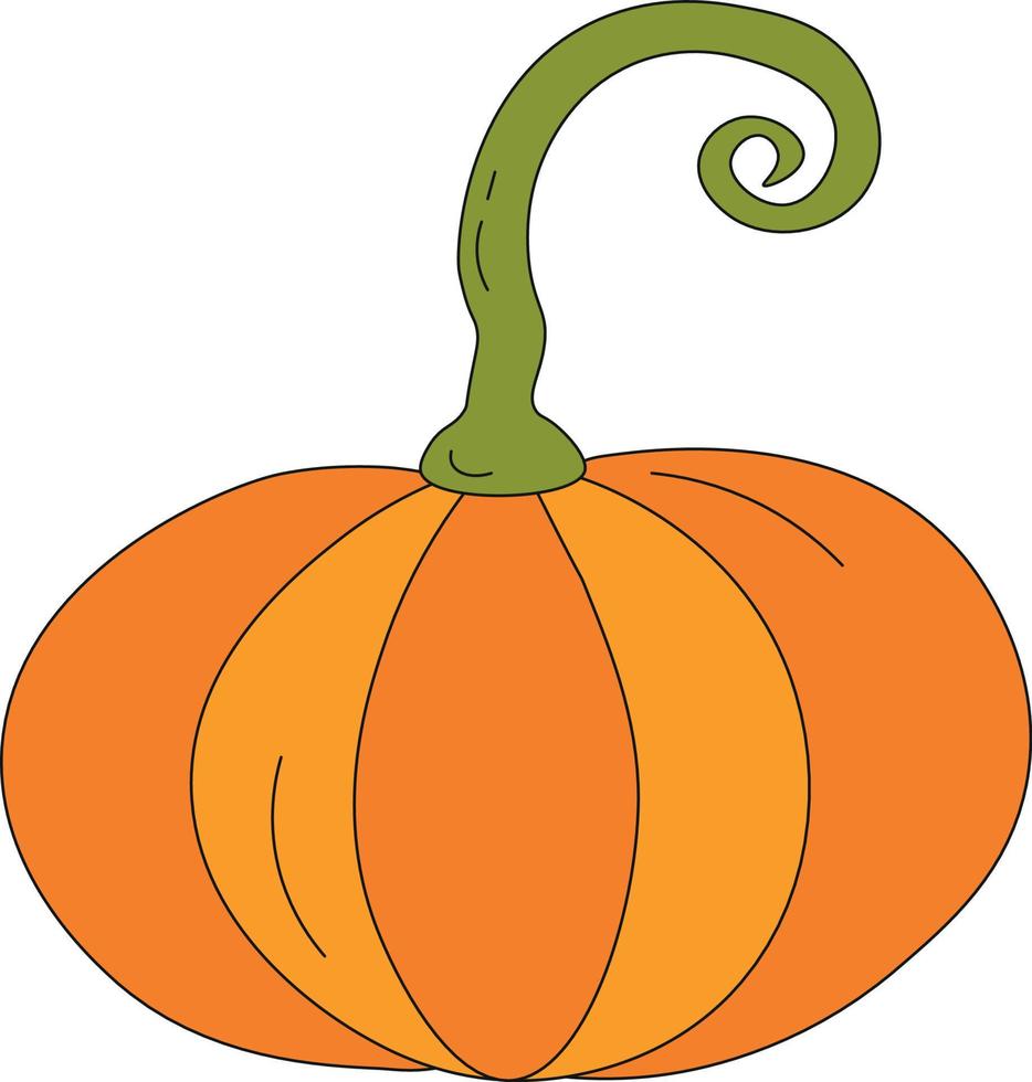 Orange oktober halloween pumpkin on white background. Juicy pumpkin for American pumpkin pie. Vector illustration in a flat style.