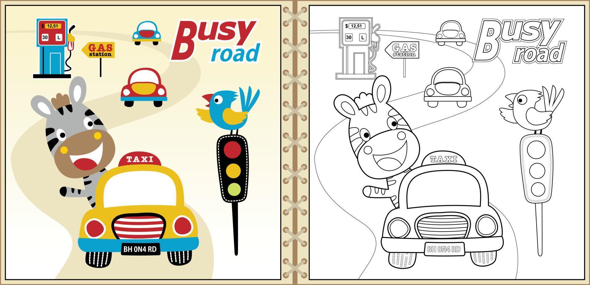 Cartoon vector of cute zebra driving car, bird perching on traffic light, traffic elements, coloring book