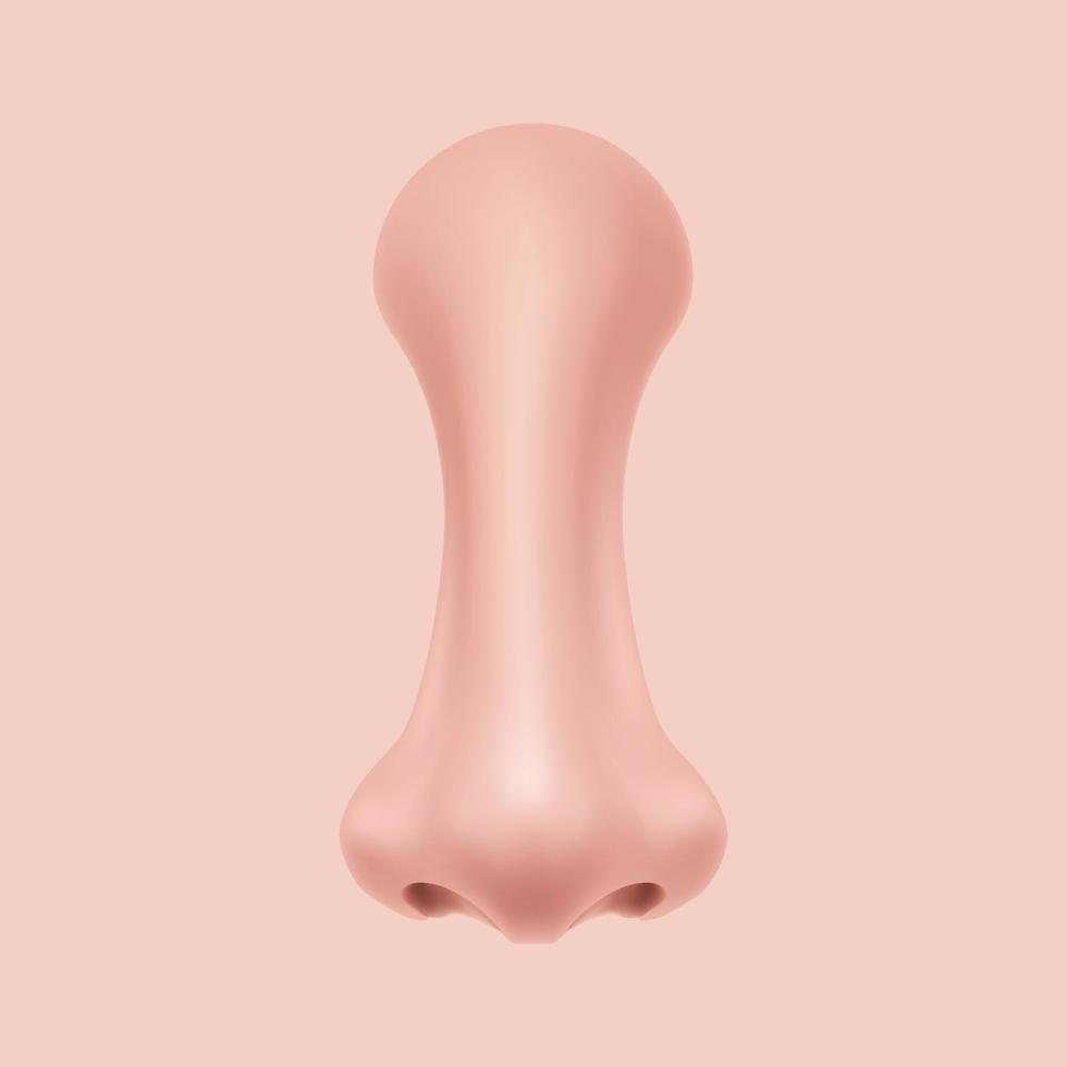 Front view Human Nose on the face realistic Illustration for medicine, Isolated on  background Design Vector. Rhinoplasty example. Body part for biology. vector