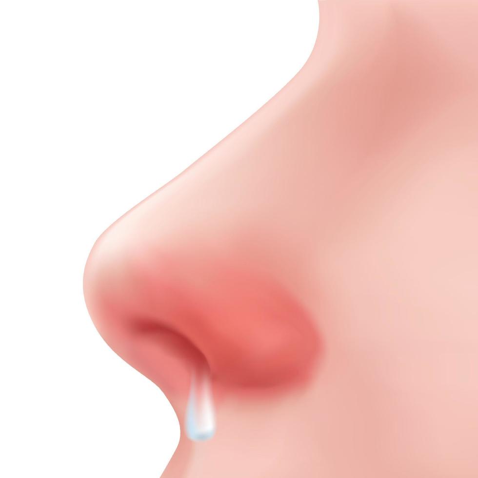 vista de perfil nariz humana en la cara ilustración realista para la medicina, aislada en el vector de diseño de fondo blanco. parte del cuerpo para la biología. síntomas de alergia y congestión por frío, estornudos, secreción nasal