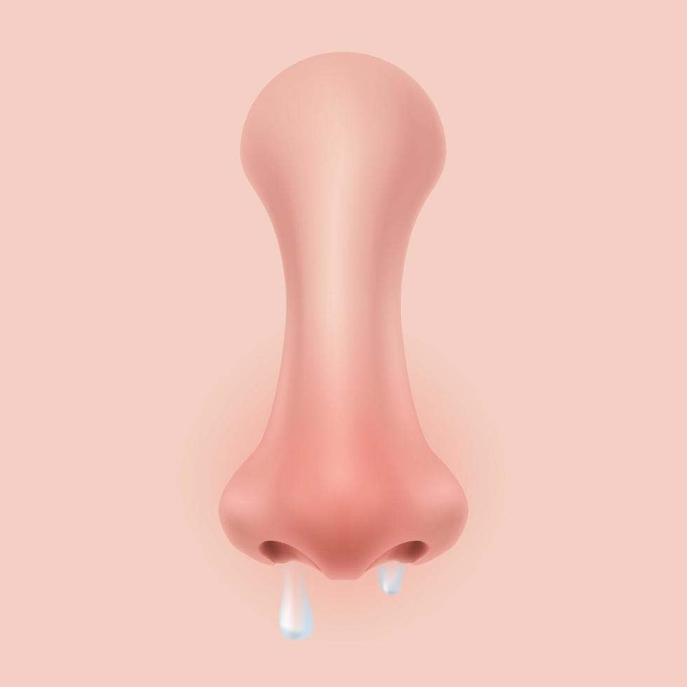 Front view Human Nose on the face realistic Illustration for medicine, Isolated on background Design Vector. Body part for biology. symptoms of allergy and cold congestion, sneezing, runny nose. vector