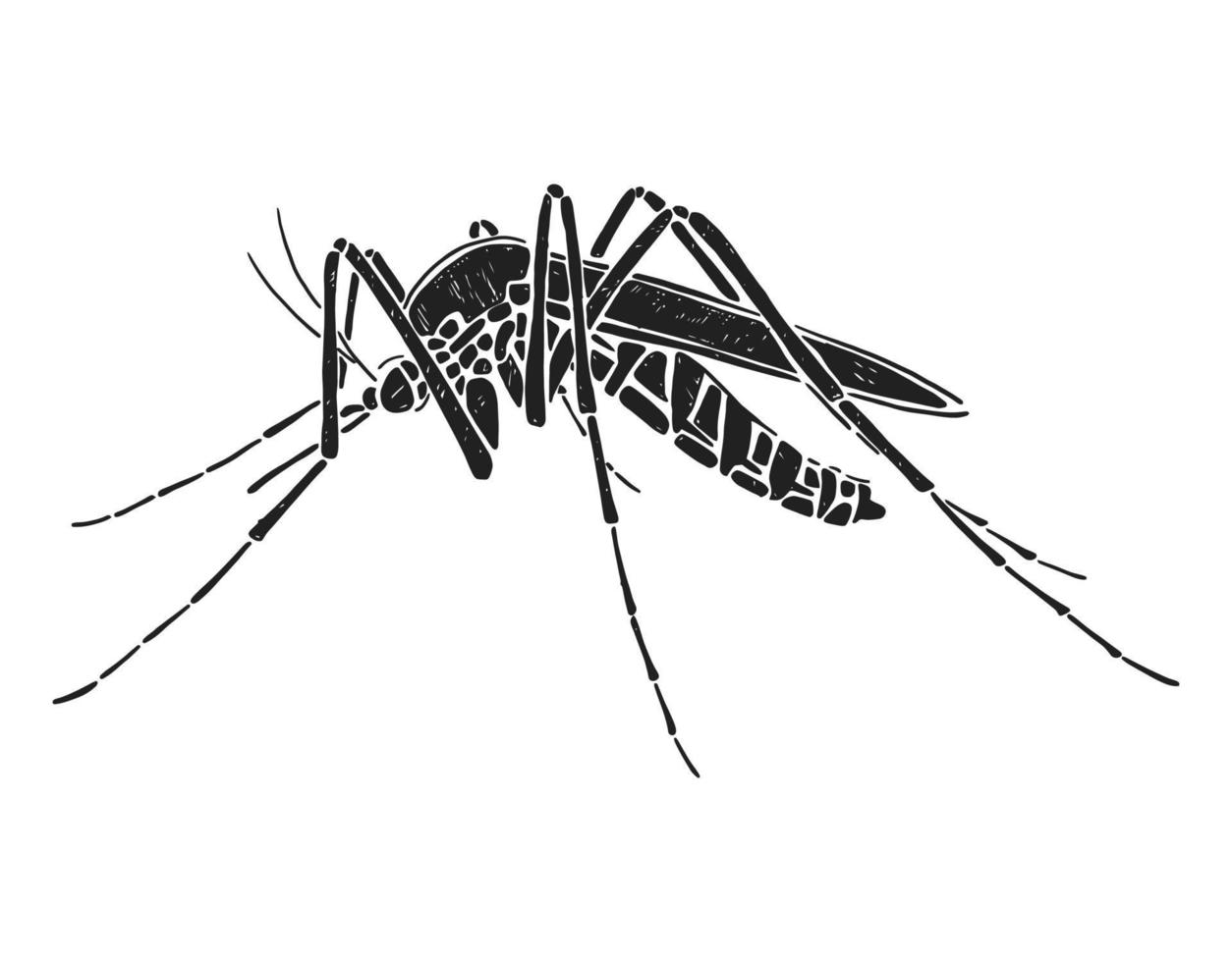 Mosquito silhouette. Black and white vector illustration