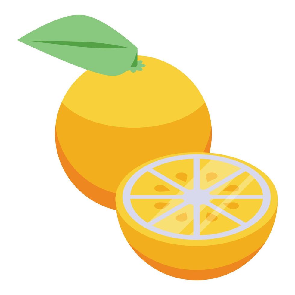 Citrus allergy icon, isometric style vector