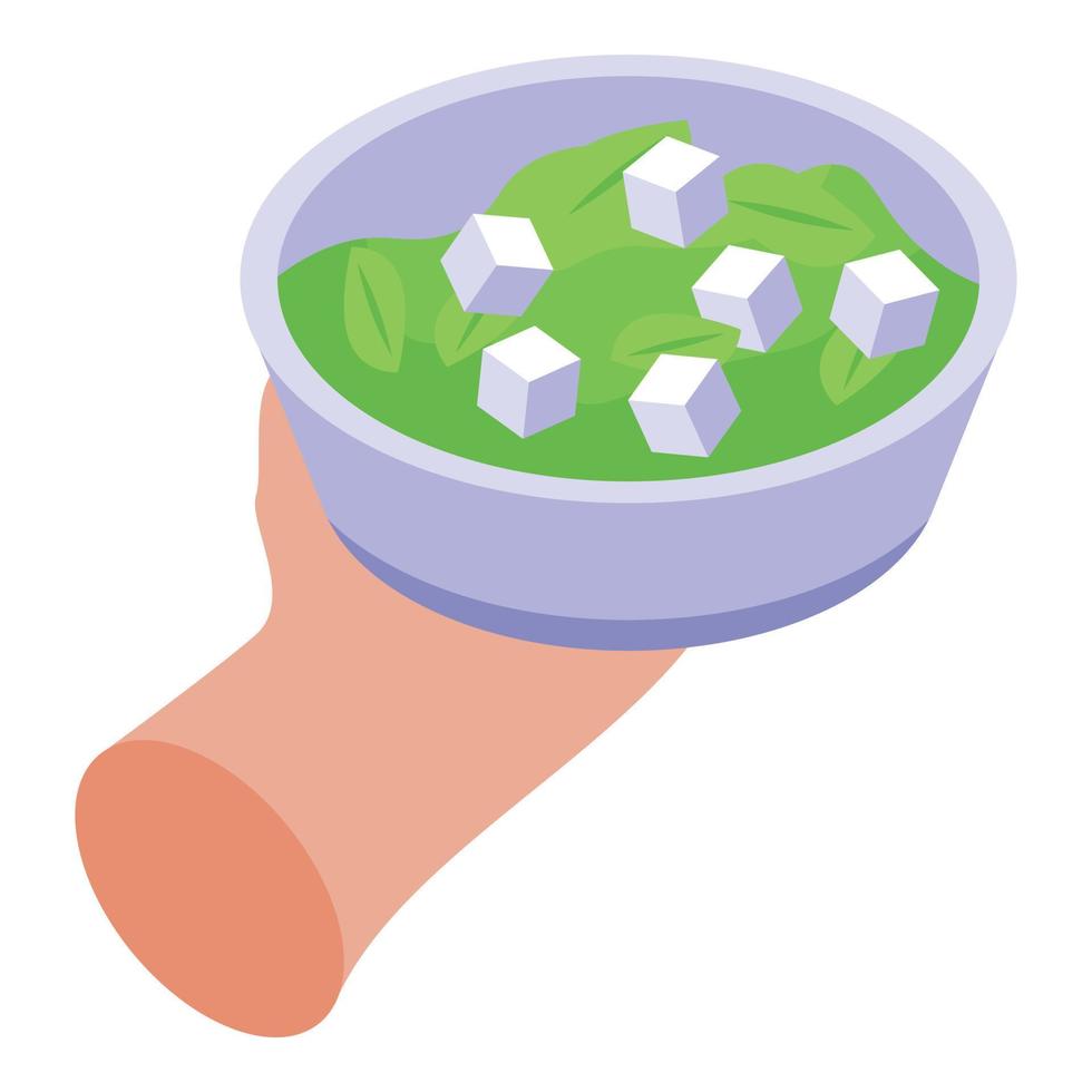 Salad bowl icon, isometric style vector