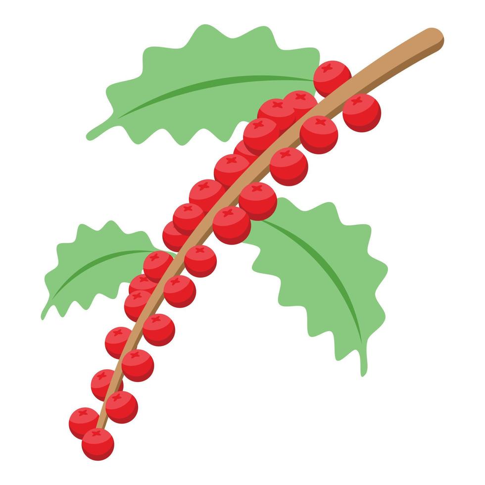 Coffee branch icon, isometric style vector
