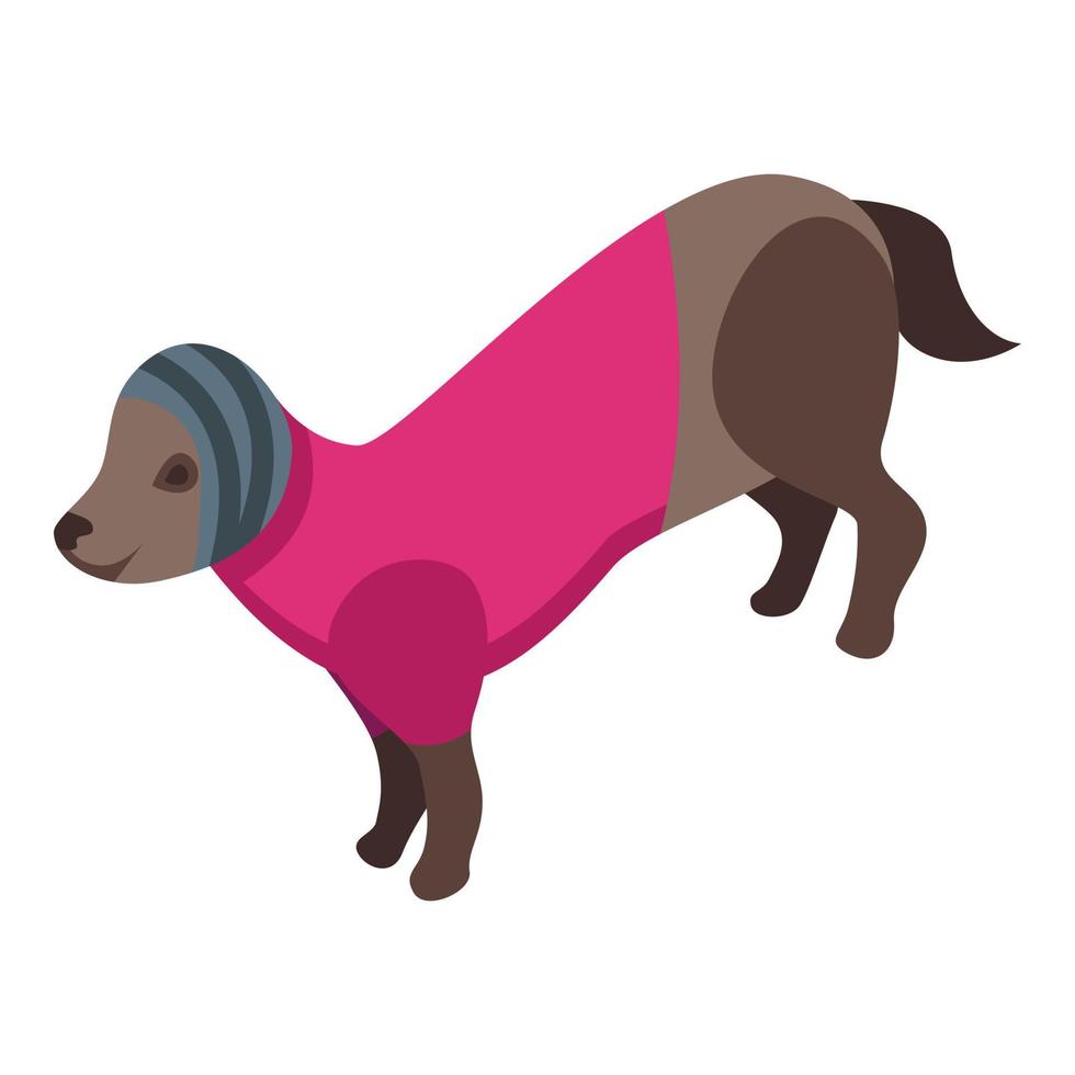 icono de tela de cachorro, estilo isométrico vector