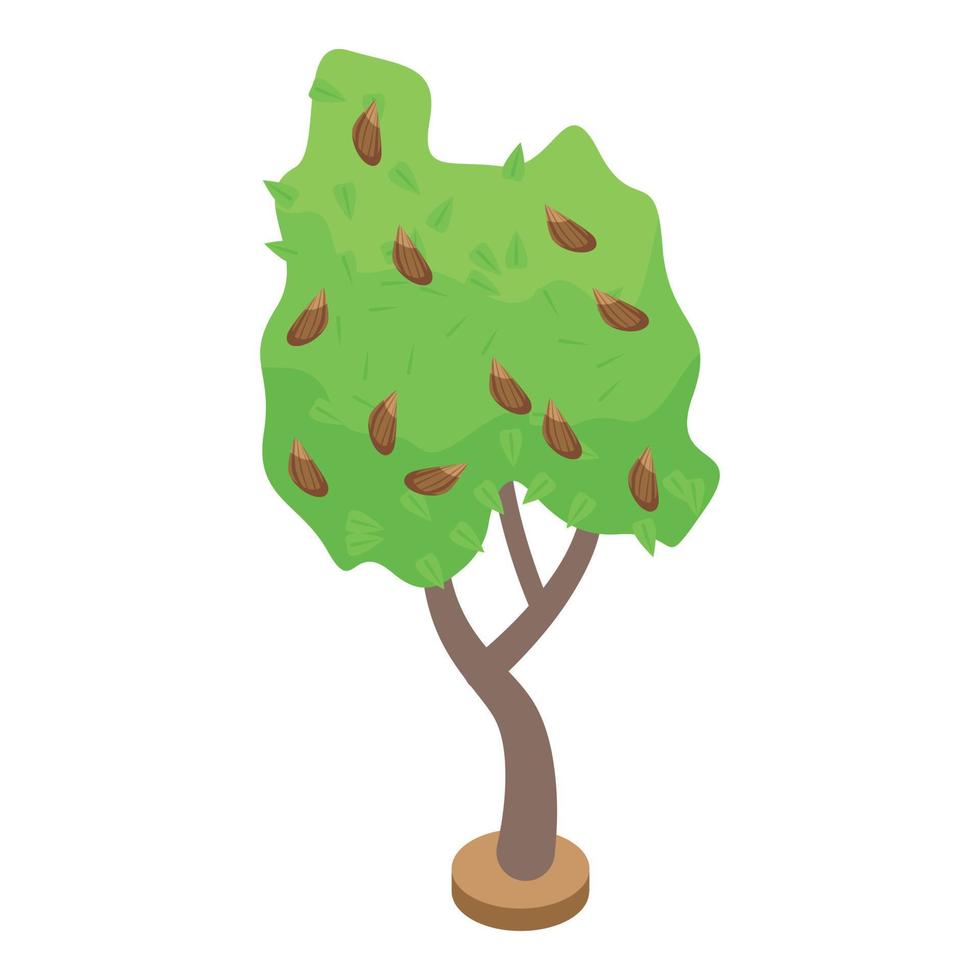 Fruit tree icon, isometric style vector