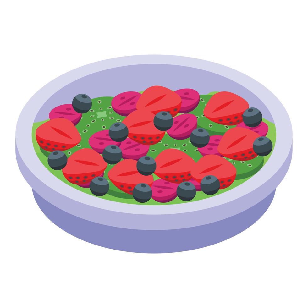 Forest berry fruit salad icon, isometric style vector