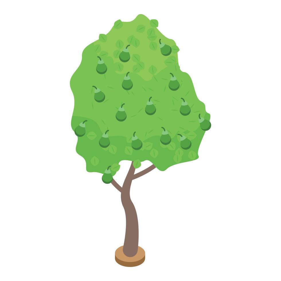 icono de árbol de fruta de pera verde, estilo isométrico vector