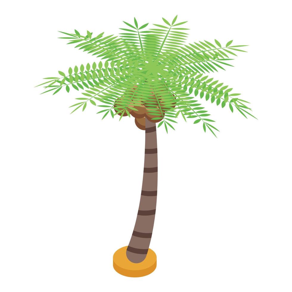 Palm fruit tree icon, isometric style vector