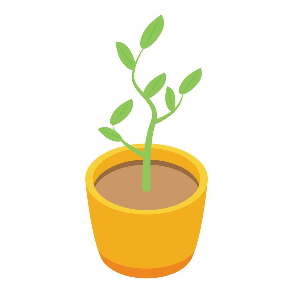 Fruit tree plant pot icon, isometric style vector