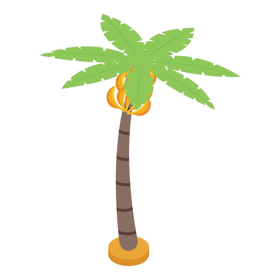 Banana fruit tree icon, isometric style vector