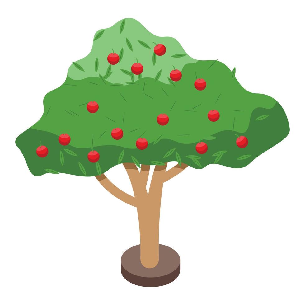 Apple fruit tree icon, isometric style vector