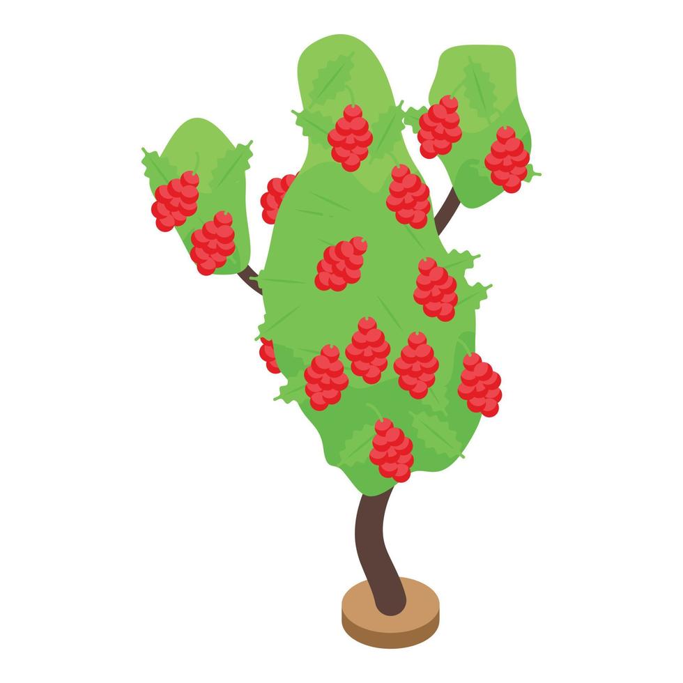 icono de árbol de frutas de bayas rojas, estilo isométrico vector