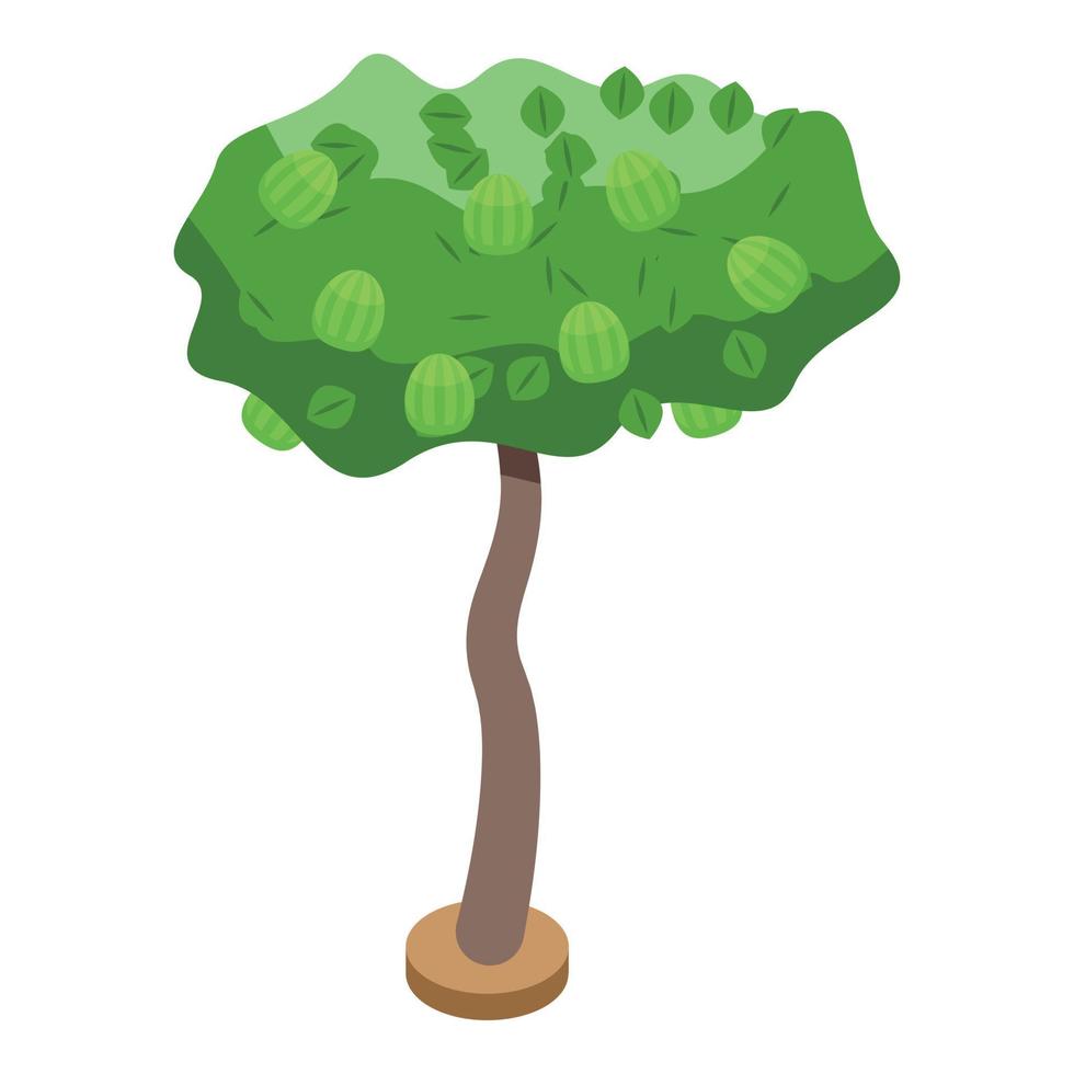 Berry fruit tree icon, isometric style vector