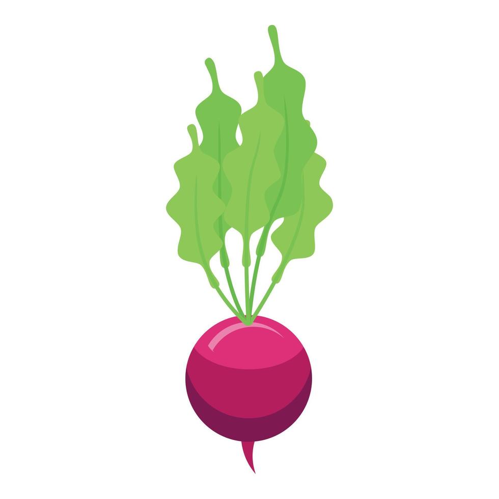 Farm radish icon, isometric style vector