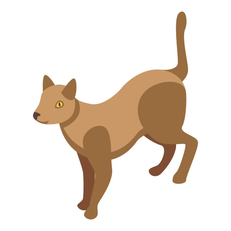 icono de alergia a los gatos, estilo isométrico vector