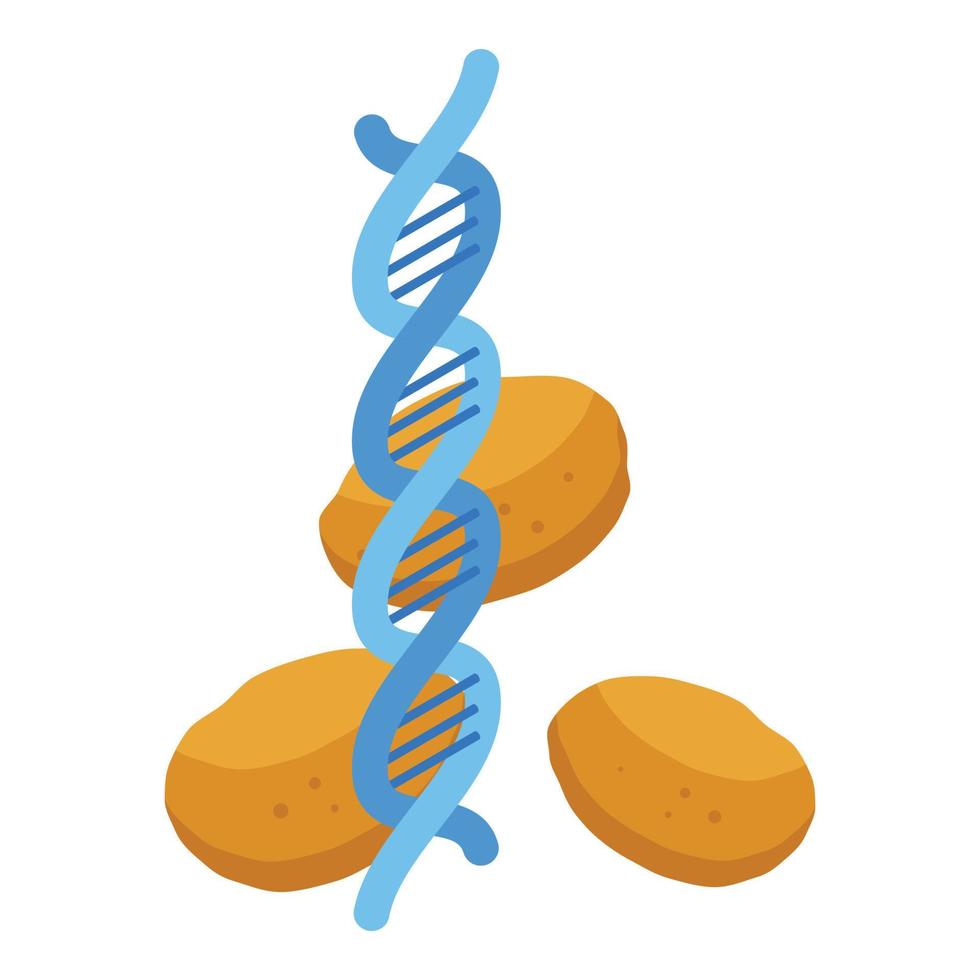 Dna gmo icon, isometric style vector