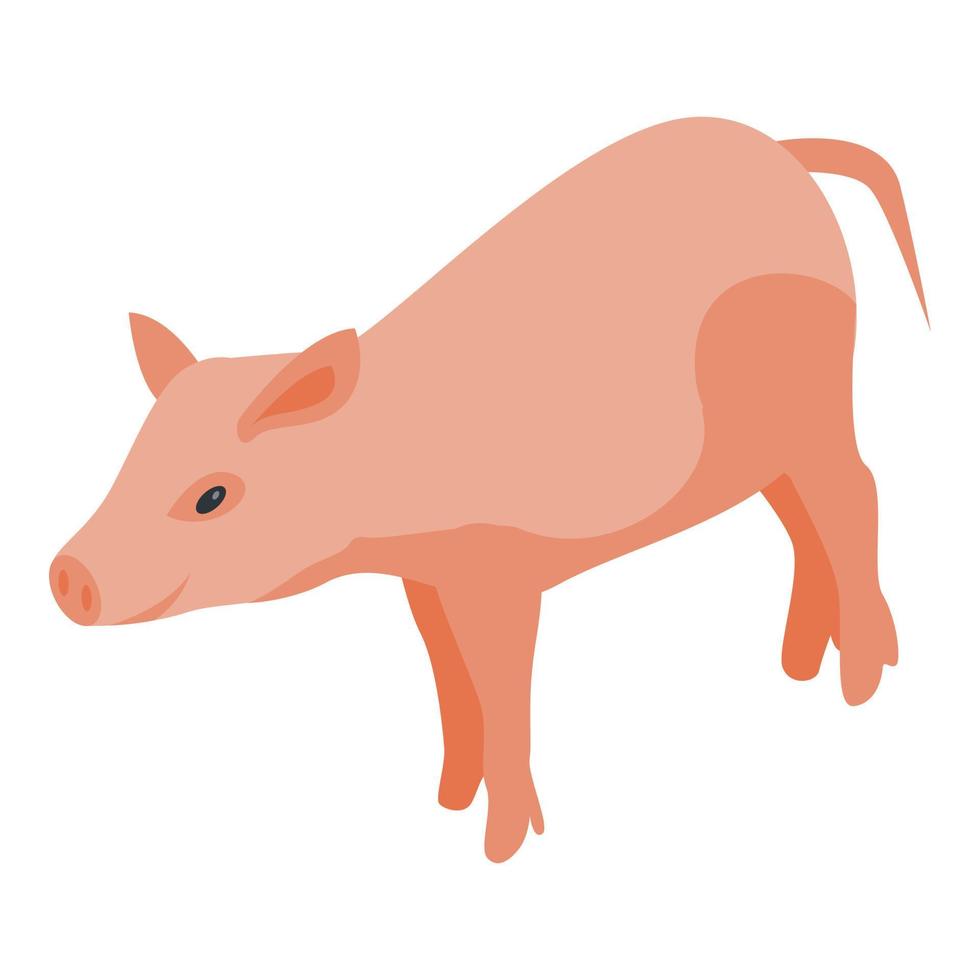 Farm pig icon, isometric style vector