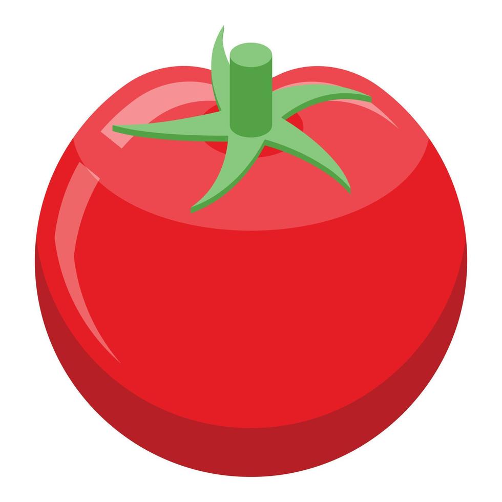Farm tomato icon, isometric style vector