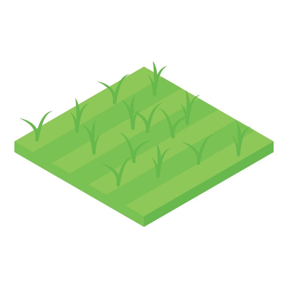 Park grass icon, isometric style vector