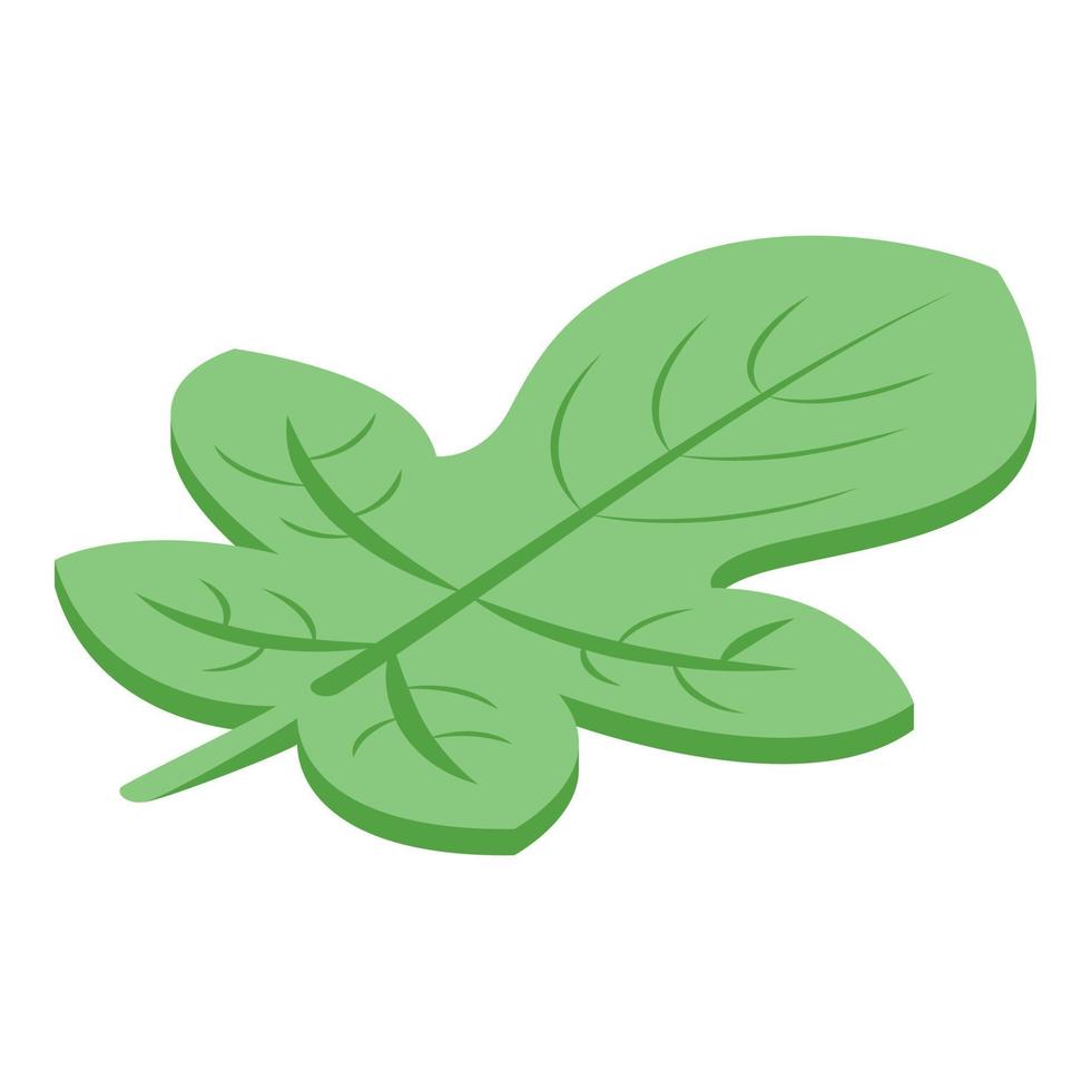 Figs leaf icon, isometric style vector