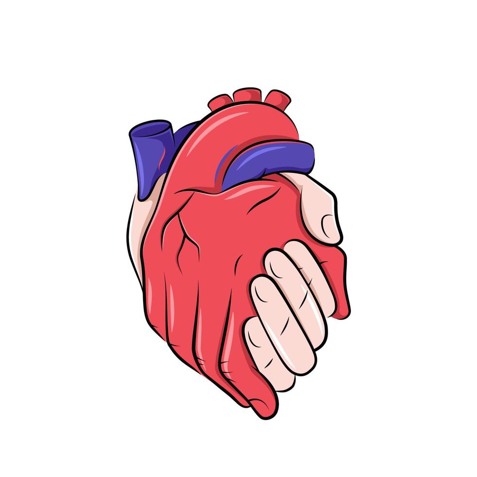 Hands in a shape of a realistic human heart, love concept illustration, comic style drawing vector