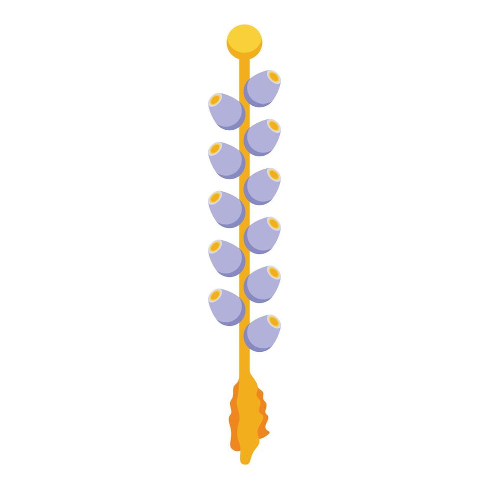 Jellyfish icon, isometric style vector