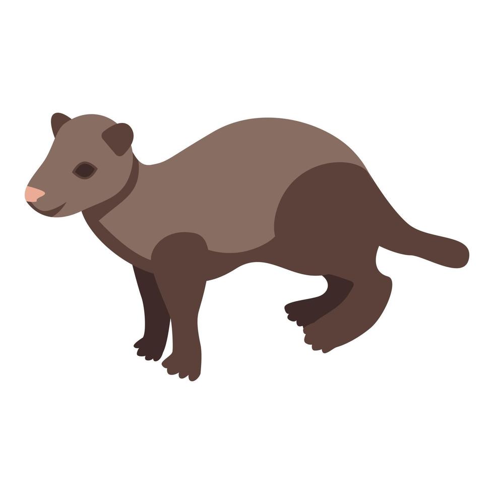 Zoo mink icon, isometric style vector