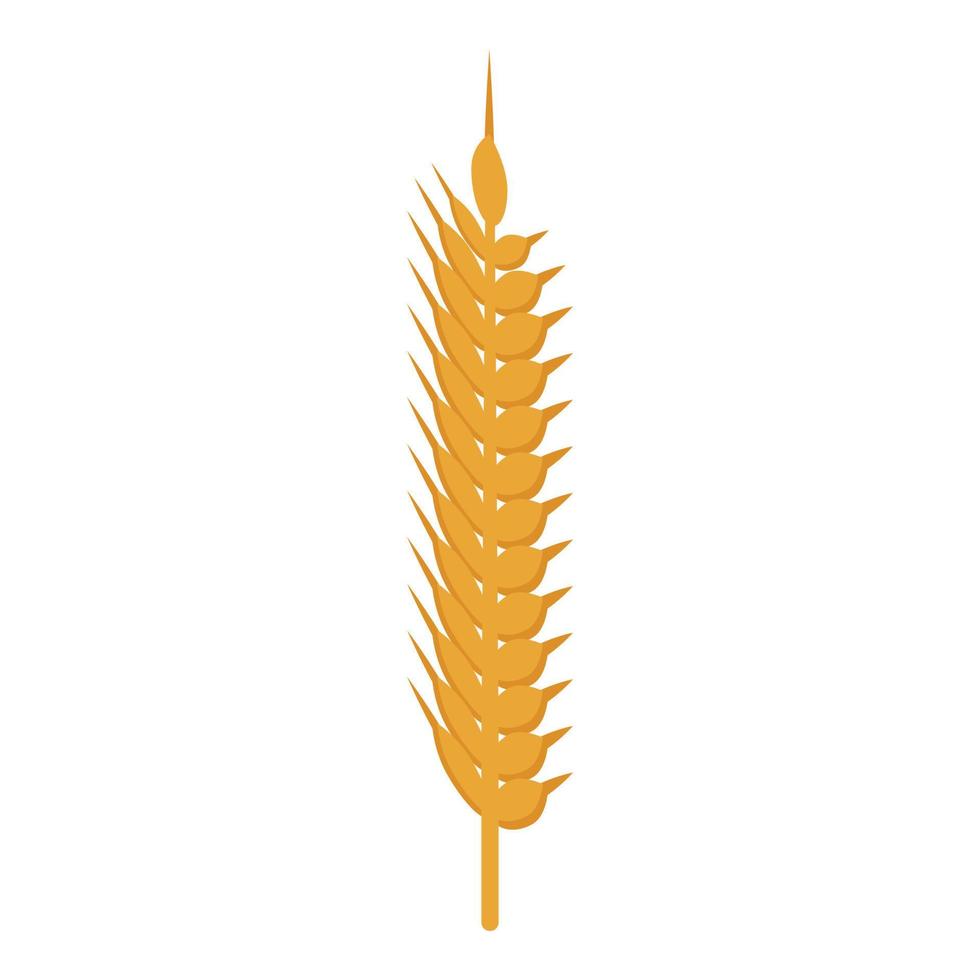 icono de comida de trigo saludable, estilo isométrico vector