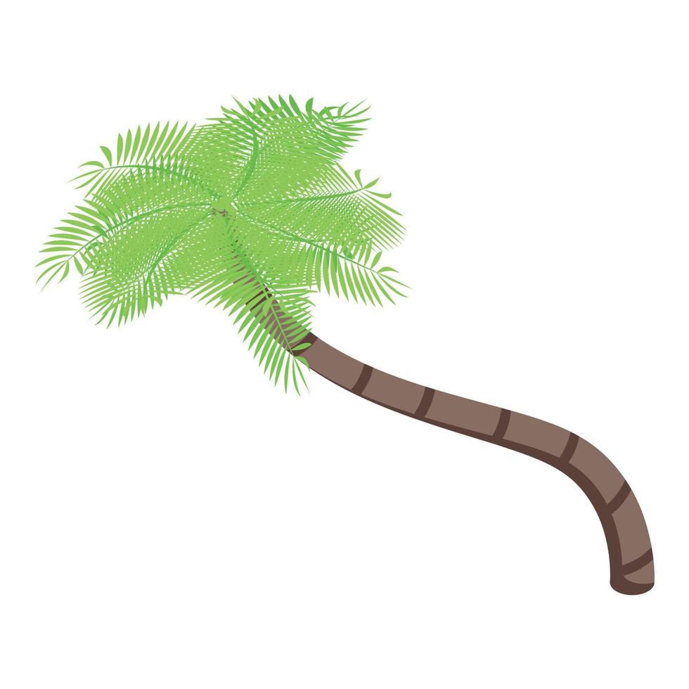 Exotic palm tree icon, isometric style vector