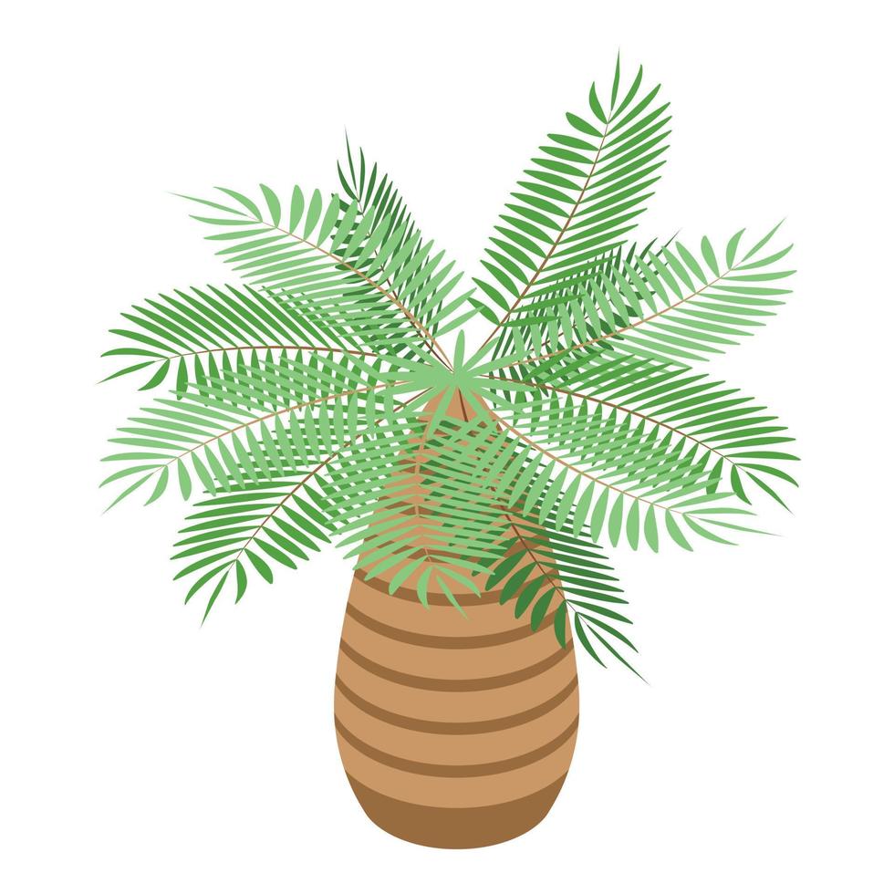 Tropical palm tree icon, isometric style vector