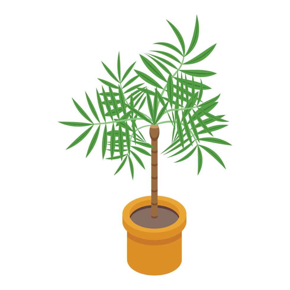 icono de maceta de palmera, estilo isométrico vector