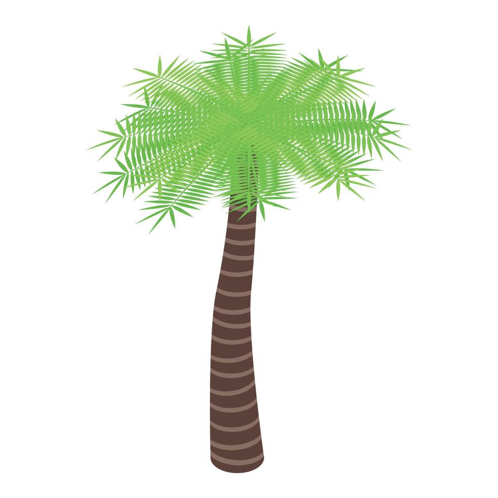 Garden palm tree icon, isometric style vector