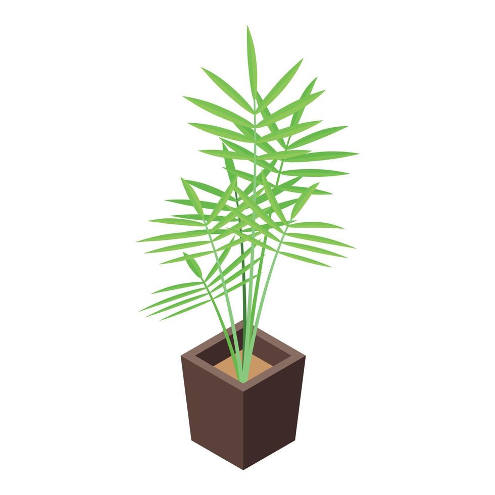 icono de olla de palmera de oficina, estilo isométrico vector