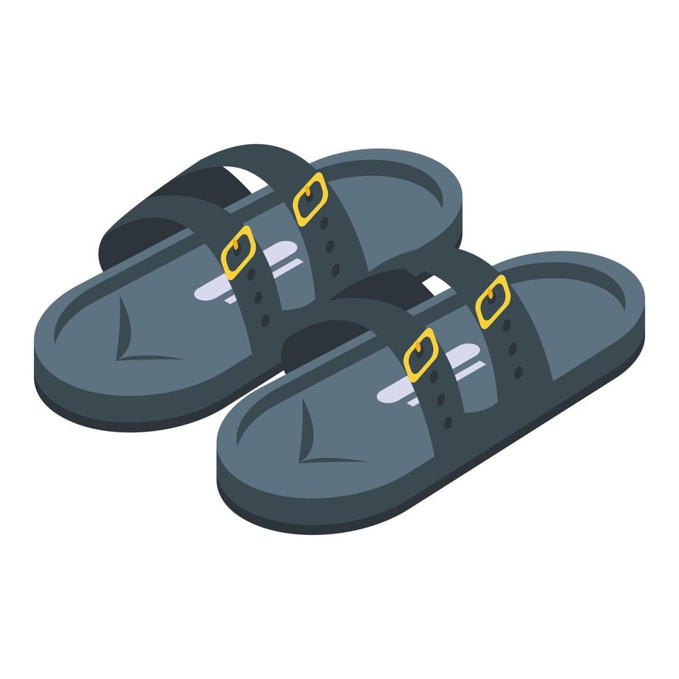 Flop sandals icon, isometric style vector