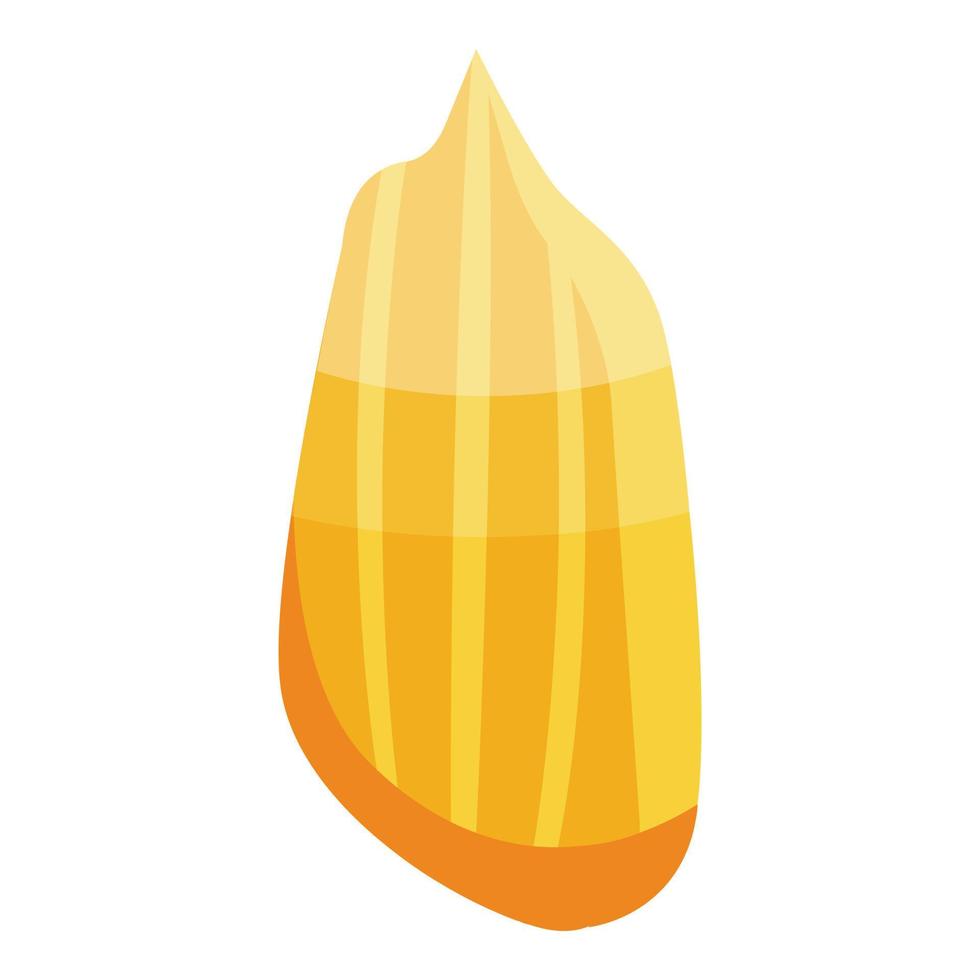 Clean sunflower seed icon, isometric style vector